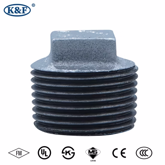 Chiodi in acciaio a punta tonda/piatta Chiodi in acciaio Chiodi ordinari Prezzo di fabbrica in ferro Acciaio inossidabile Ferro grande Liscio Liscio GB Ordinario Nai