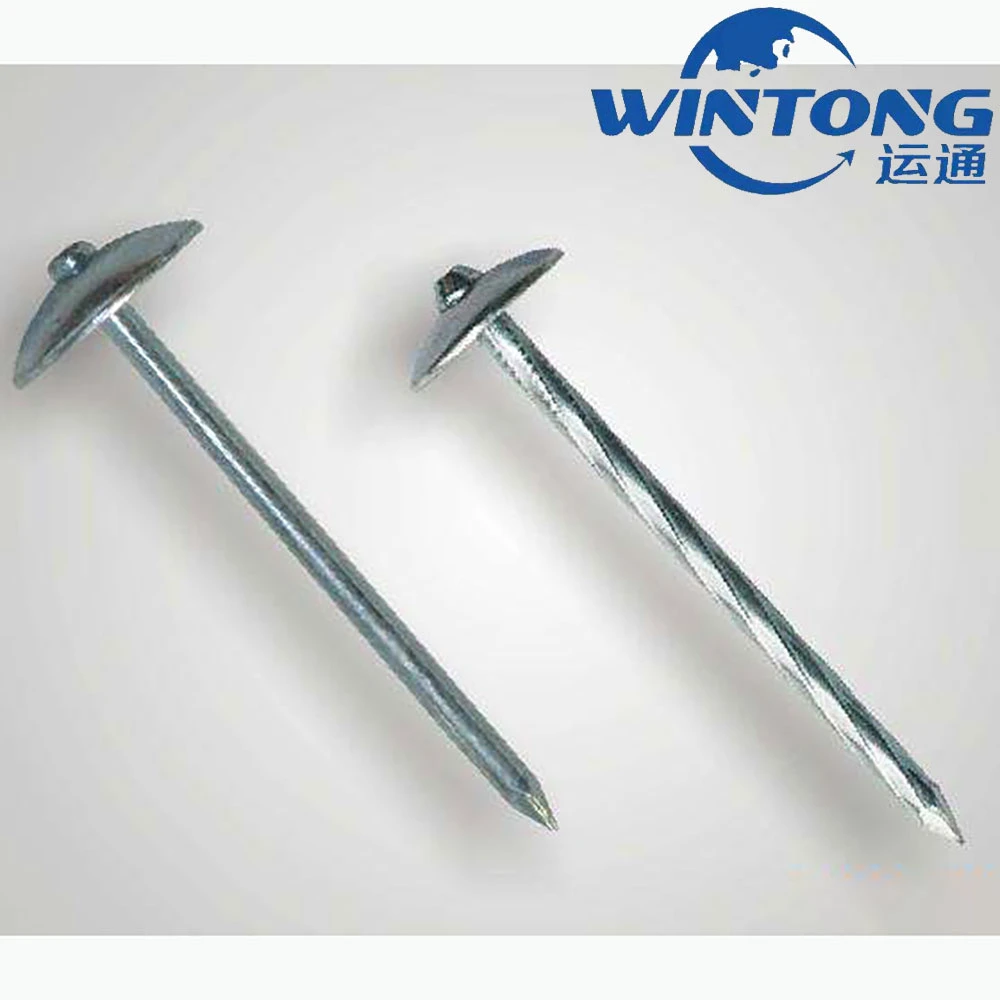 Galvanized Steel Wire/Screw Bolt & Nut /Q195/0.8-4.0 Inch/Concrete/Nails