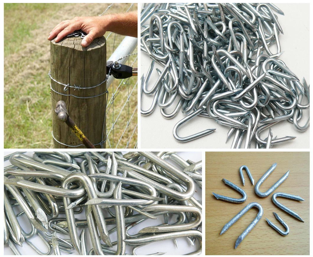 Electro Galvanized Hot Dipped U Fence Staples Nails for Building Construction