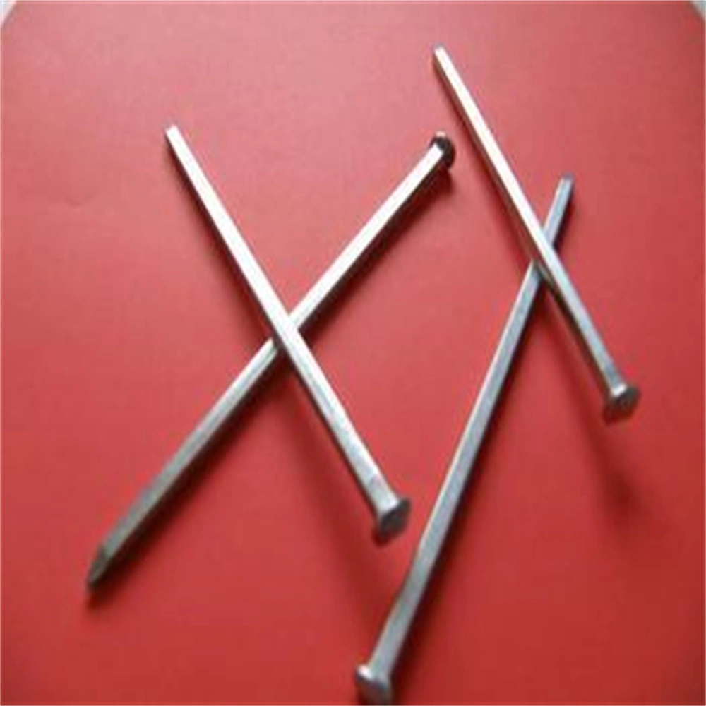 Electronic Galvanized Square Nail/The Square Boat Nail