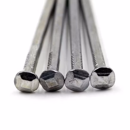 Professional Factory Galvanized Iron Common Square Shank Nail Square Boat Nail with High Quality