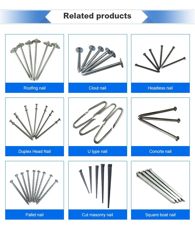 Factory Price Square Boat Nail/Polished Boat Nail with Different Size