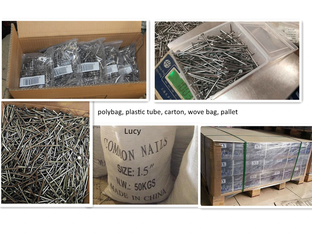 Polished Lost Head Common Nails/Iron Wire Nails Without Head/Headless Nail/ Bullet Head Nails/ Finishing Nails/ No Head Nails/ Square Boat Nails/ Spike Nails