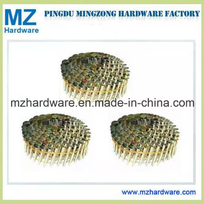 Collected Coil Nail Yellow Zinc Can Be Used with Pneumatic Nail Gun