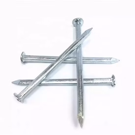 Professional Factory Galvanized Iron Common Square Shank Nail Square Boat Nail with High Quality