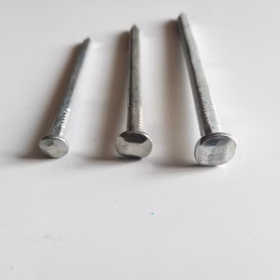 Professional Factory Galvanized Iron Common Square Shank Nail Square Boat Nail with High Quality