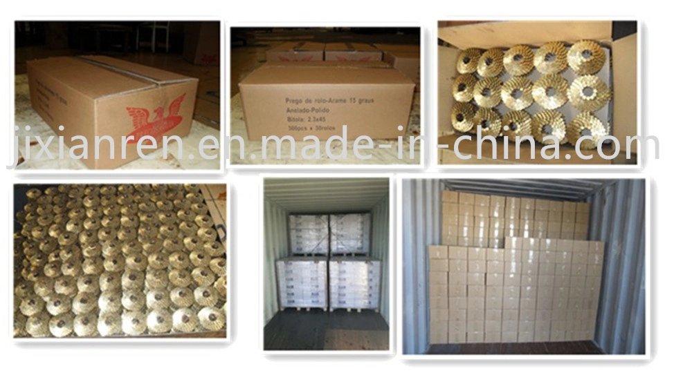 Coil Nail, Coil Pallets Nail, Wire Coil Nail, Pallet Coil Nail, Nail