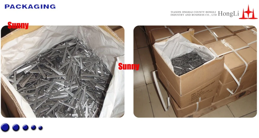 Tianjin Hongli Factory Chinese Factory Concrete Cut Masonry Nails Galvanized Steel Cut Nails