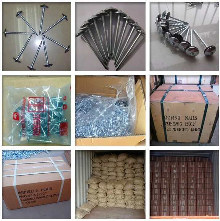 Factory Manufactured Cheap Price 2