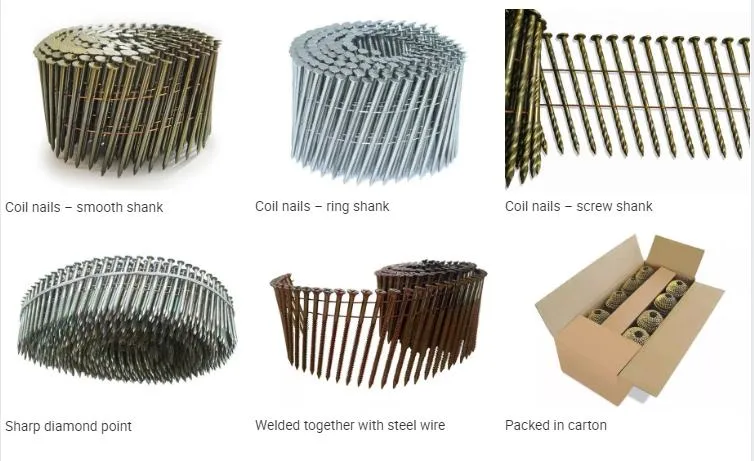 Iron / Steel / Cement /Common/ Round Head/Hook/Roofing/Roll/Shooting/ Nails