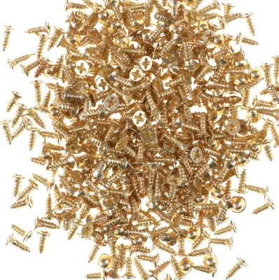 Cerniera piatta Phillips Vite autofilettante per mobili Chiodo placcato in ottone Testa svasata dorata 2x6mm